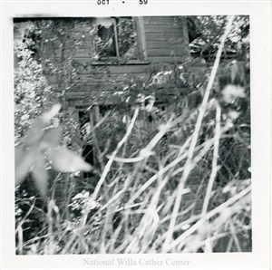 Image description is not available for PHO-4-W689-62